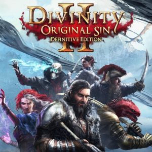 Divinity: Original Sin 2 Definitive Edition Nintendo Switch Online Account Activation