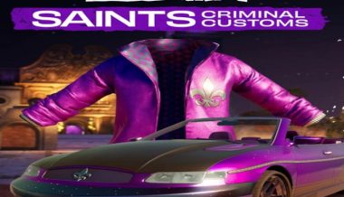 _SaintsRowSaintsCriminalCustoms111