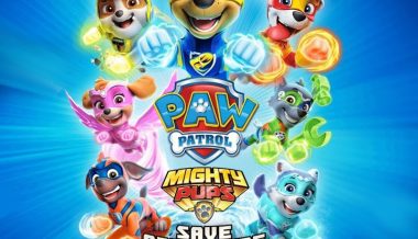 pawpatrol800
