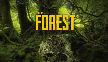 the_forest_1_1